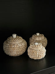 Schelpenpotjes | Handgemaakt | Japandi | Vakkenkastdecoratie