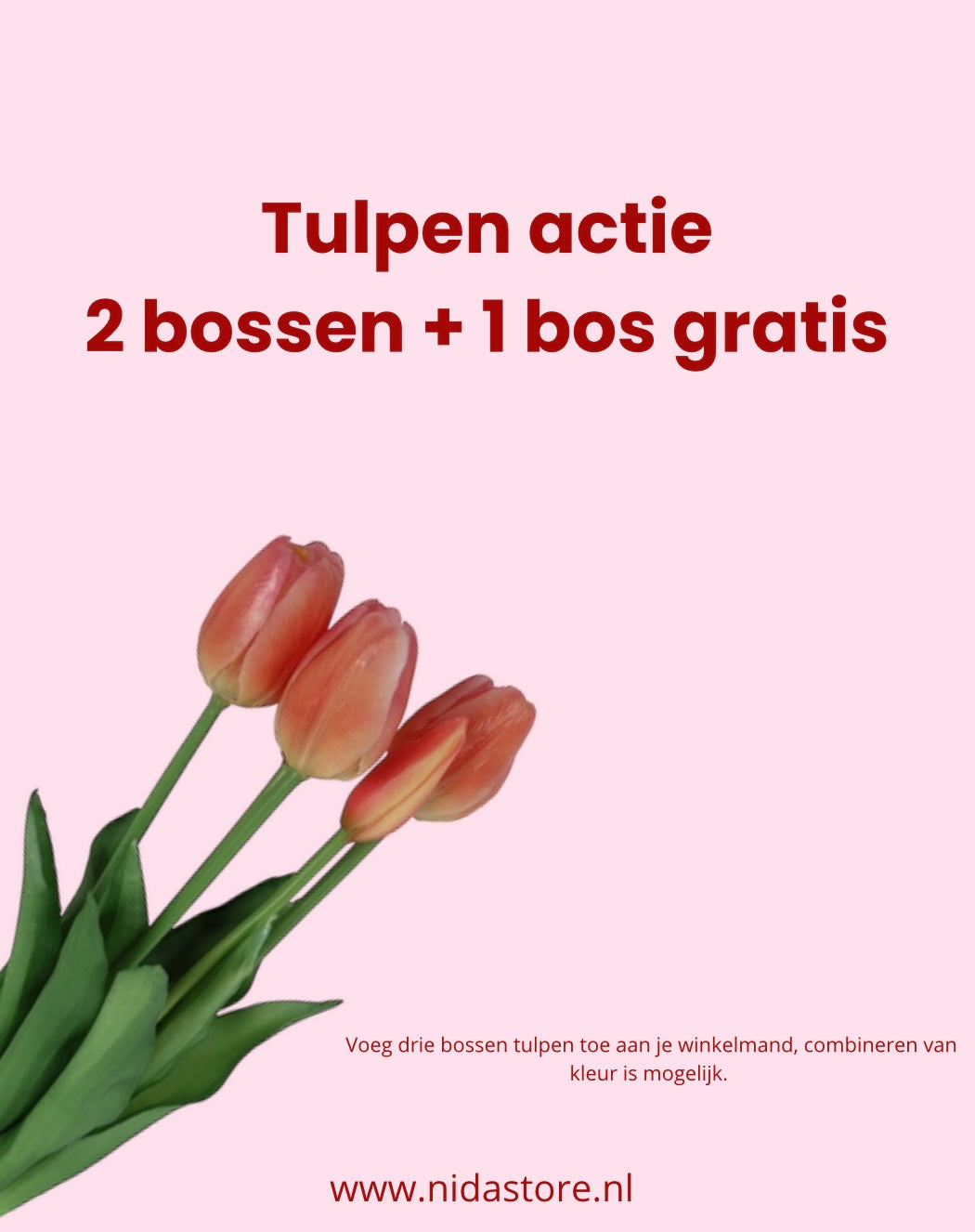 2+ 1 GRATIS | Zijdentulpen roze | Bundel van vijf