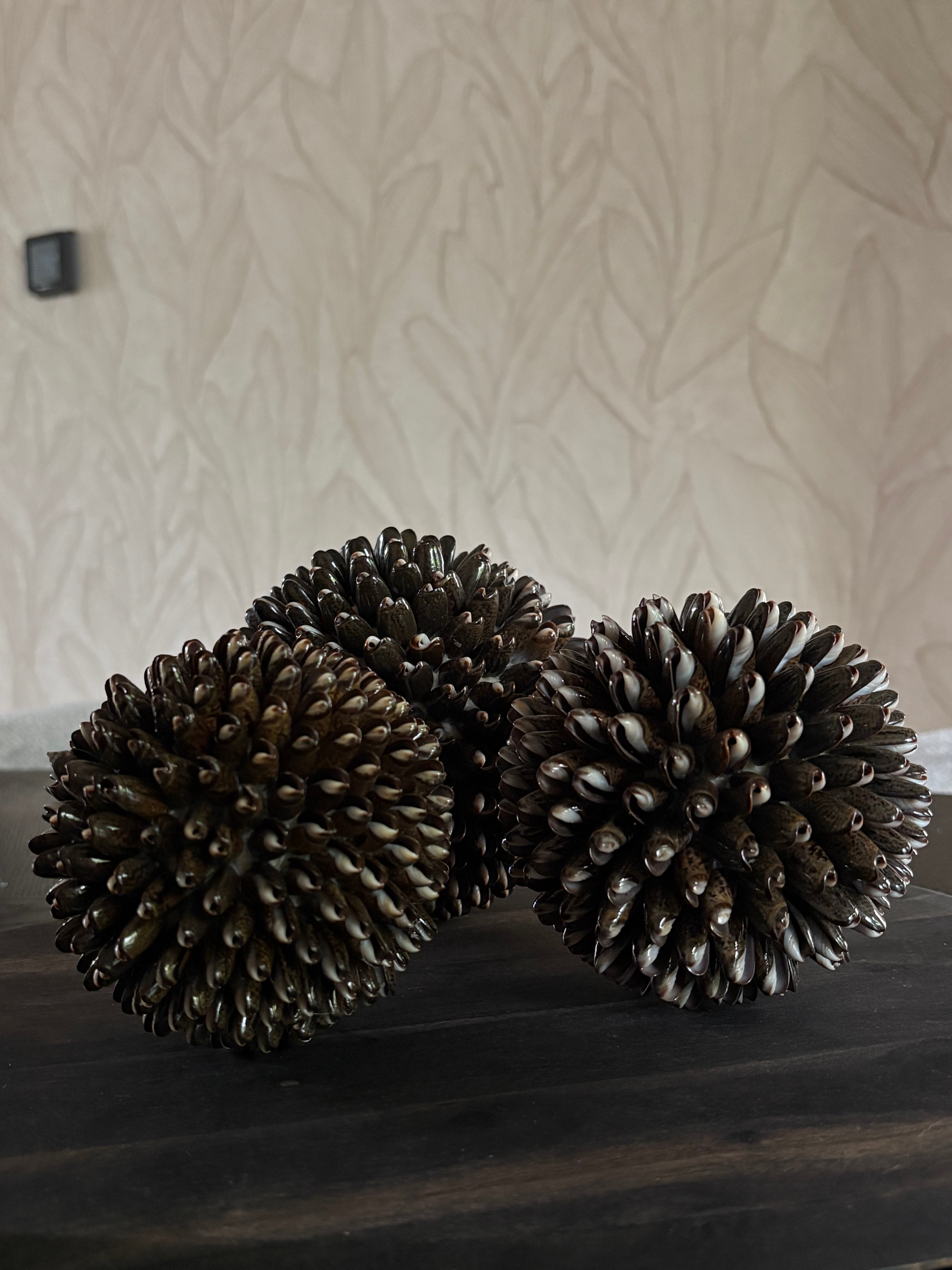 Schelpenbollen bruin