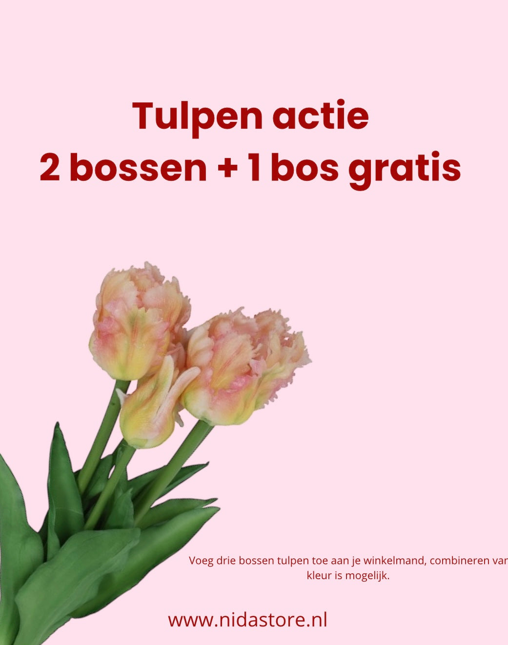 2+ 1 GRATIS | Zijdentulpen boeket Parrot | Bundel van vijf stuks