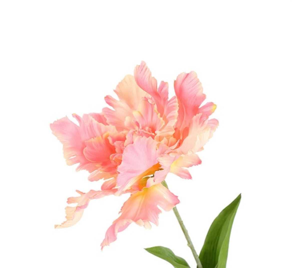 Zijden parrot tulp roze