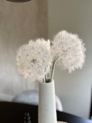 Zijdenbloem Alium | Zijden paardenbloem