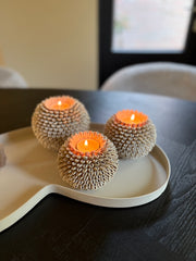 Set van drie kauri waxinelichten | Schelpendecoratie | Japandi | Boho | Pre order