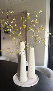 Prunus wit | Zijdentak
