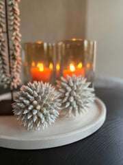 Schelpenbal | Schelpendecoratie | Schelpenbol | Maat M