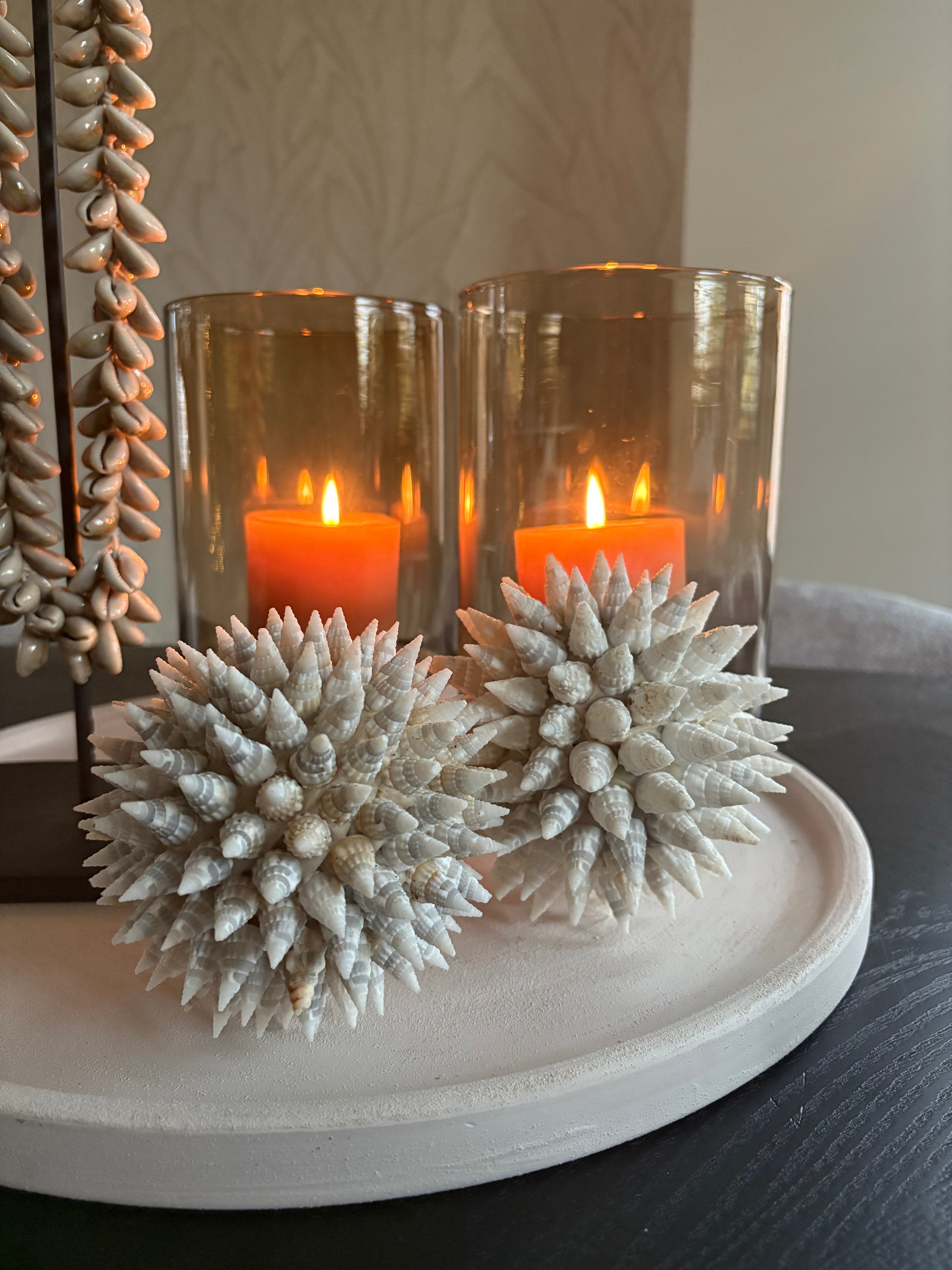 Schelpenbal | Schelpendecoratie | Schelpenbol | Maat S