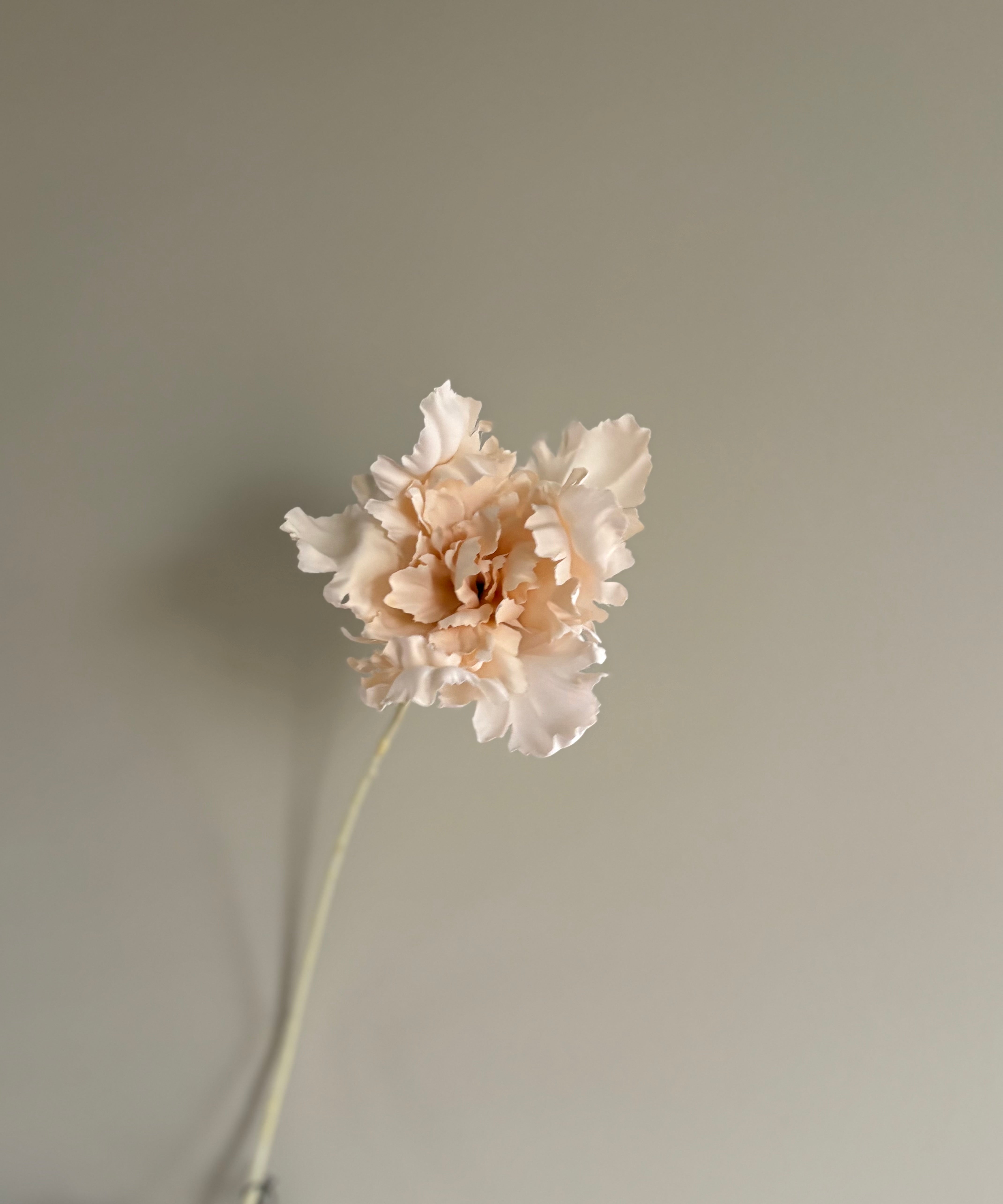 Beige tulp | Zijdenbloemen