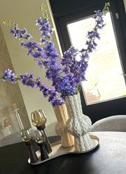 XXL Delphinium Blauw