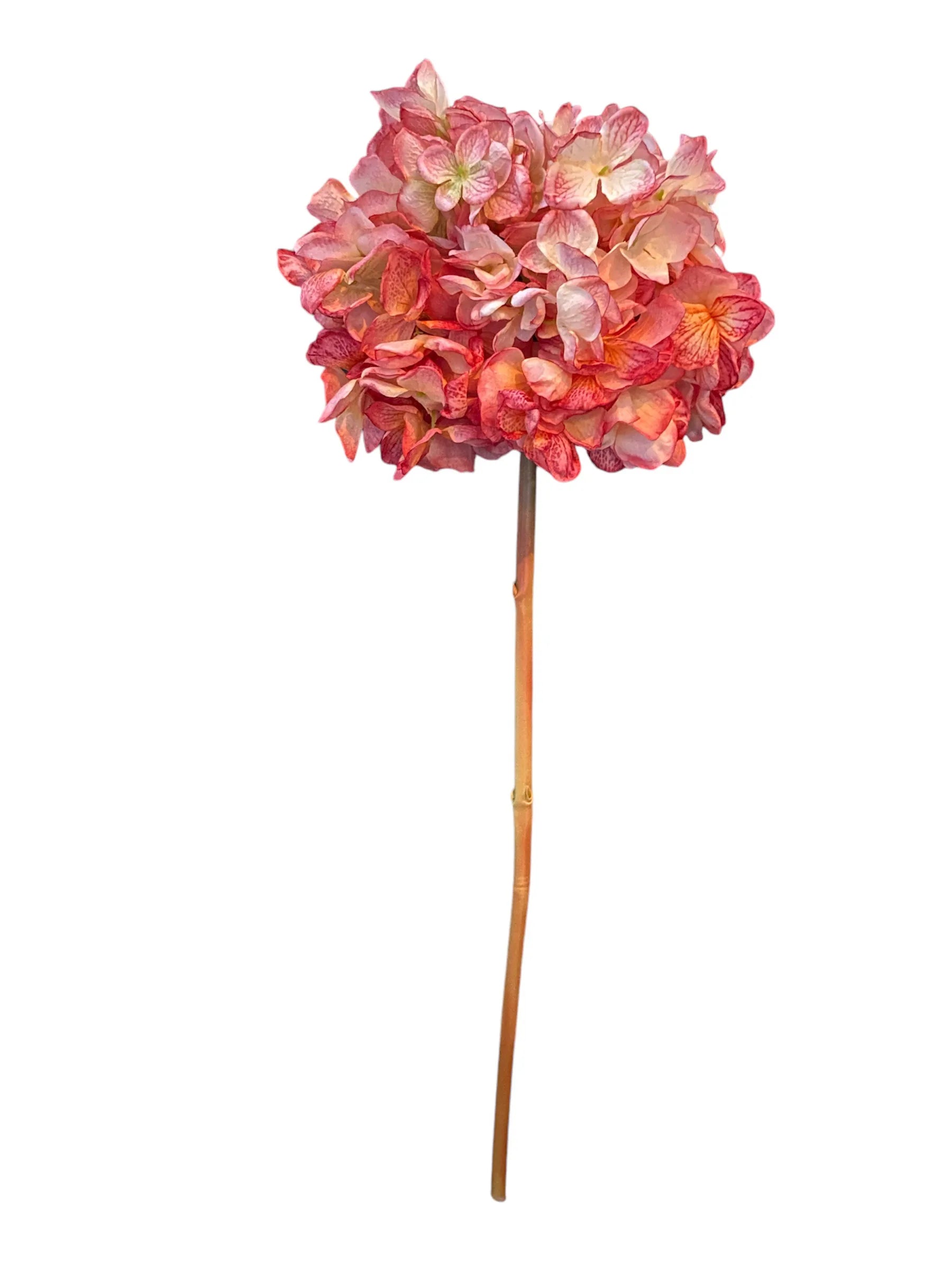 Hortensia roze/creme 83cm